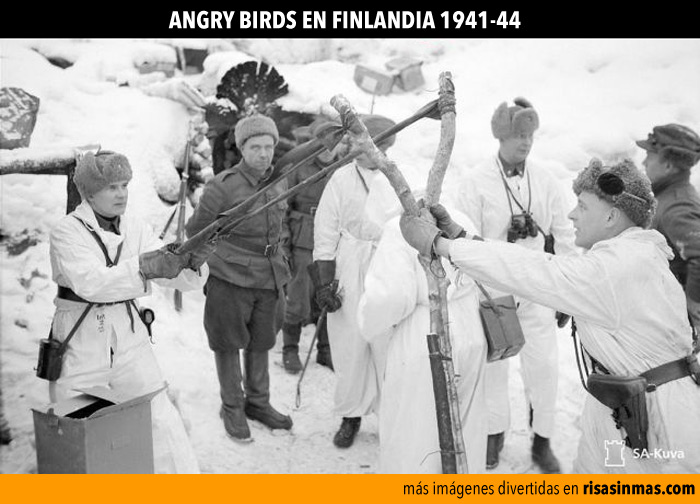 Angry birds en Finlandia 1941
