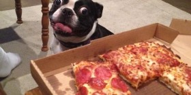 ¡Huelo a pizza!
