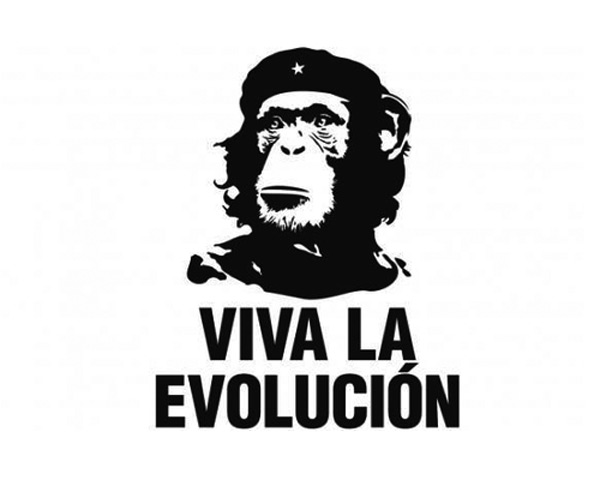 Viva la evolución