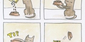 La lógica de los gatos