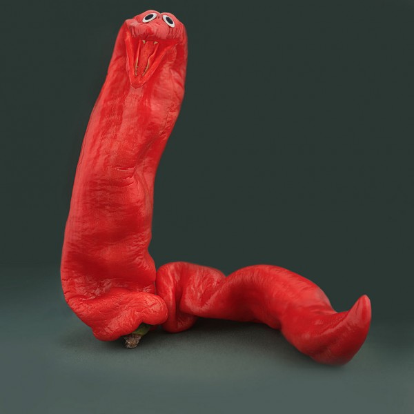 Serpiente de pimiento rojo