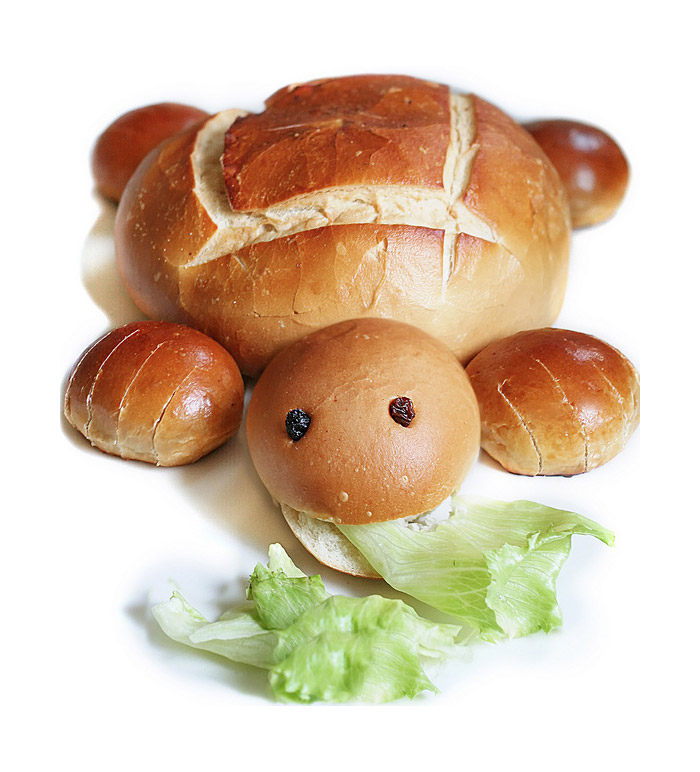 Tortuga hecha con pan