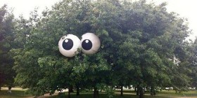 El árbol más divertido del mundo