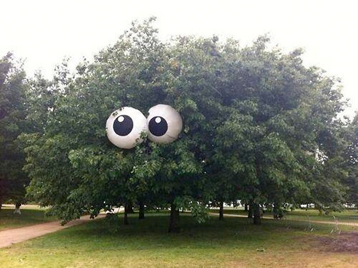El árbol más divertido del mundo