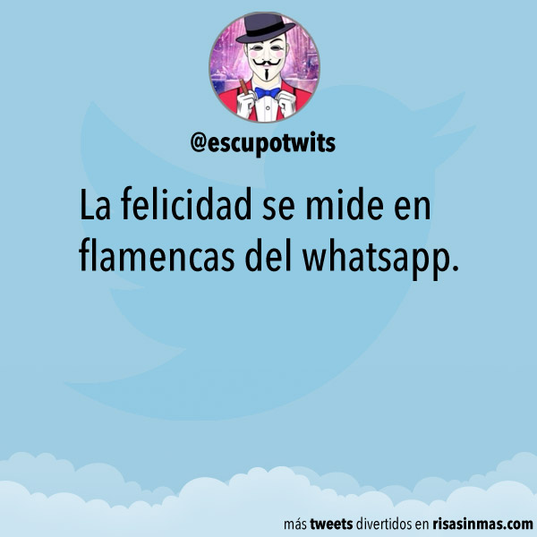 La felicidad se mide en flamencas del whatsapp.