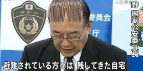 Peinado made in Japan