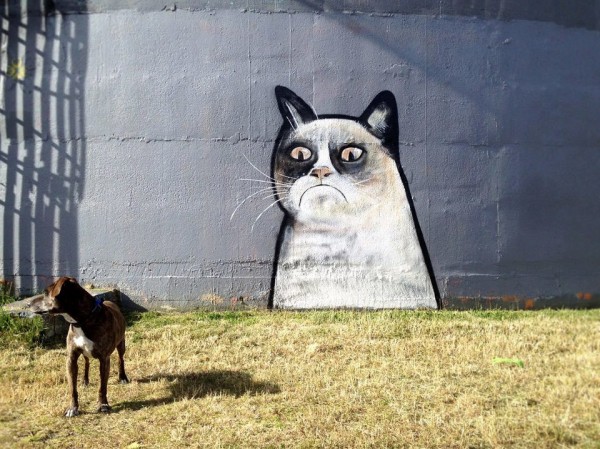 Street art de Grumpy cat