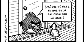 Suegro Angry Birds