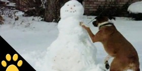 Perros, trineos y muñecos de nieve
