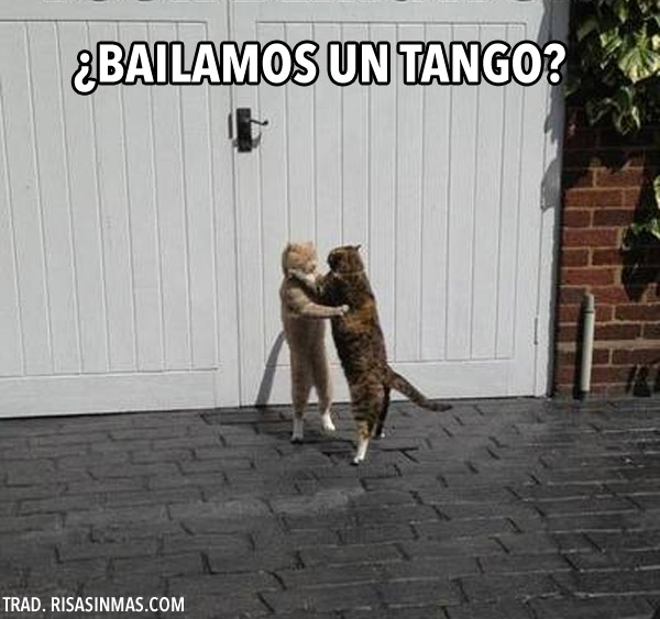 ¿Bailamos un tango?