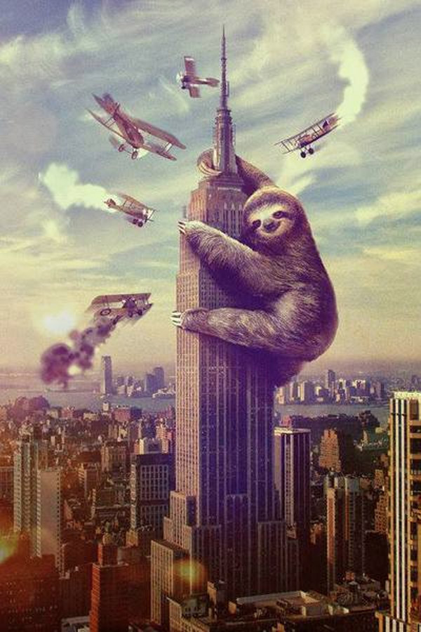 El verdadero King Kong
