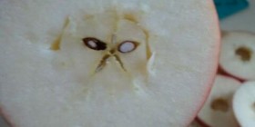 Grumpy cat aparece en una manzana