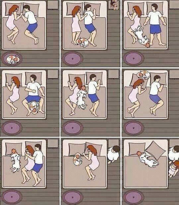 Lo divertido de dormir en pareja y con un perro