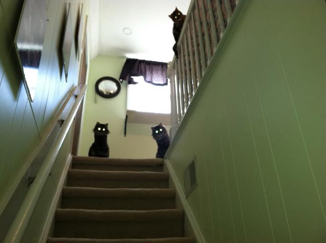 Me da miedo subir al piso de arriba