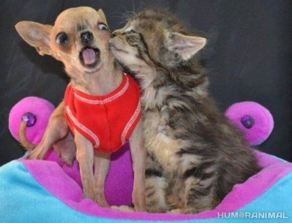 ¡No me beses!
