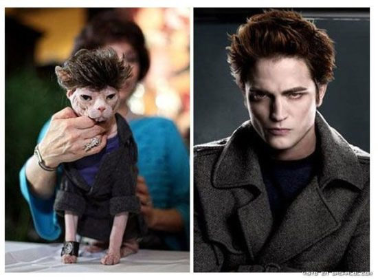 Parecidos razonables: Edward Cullen