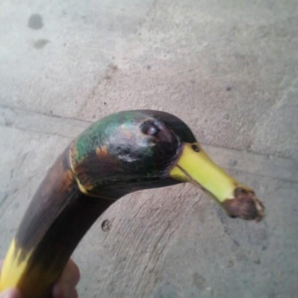Plátano-pato