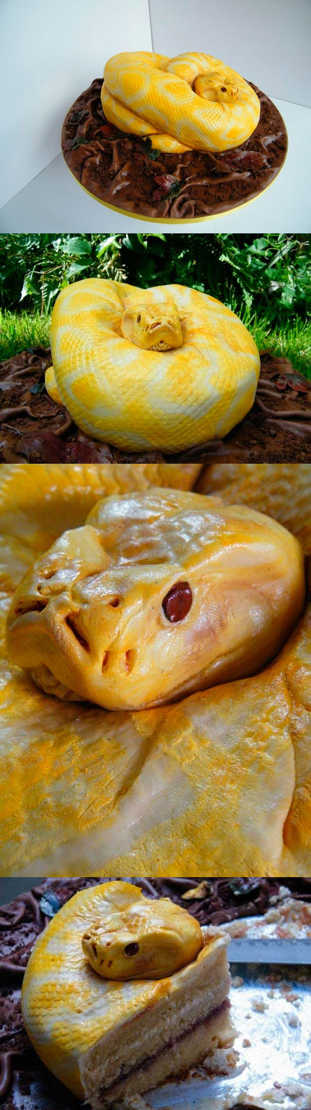 Tartas orginales: Serpiente pitón