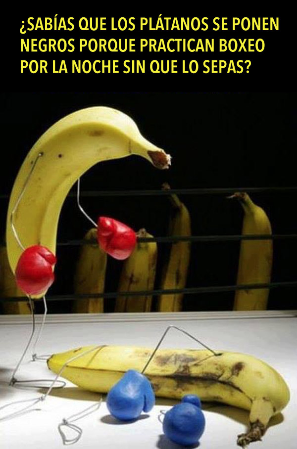 Por qué se ponen los plátanos negros