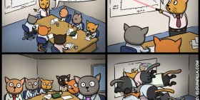 Reunión de gatos