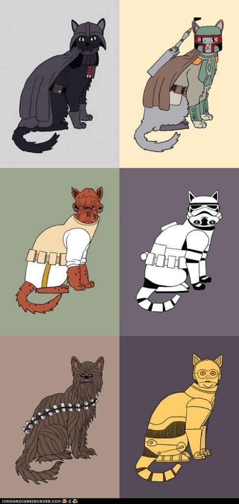 Gatos como personajes de Star Wars