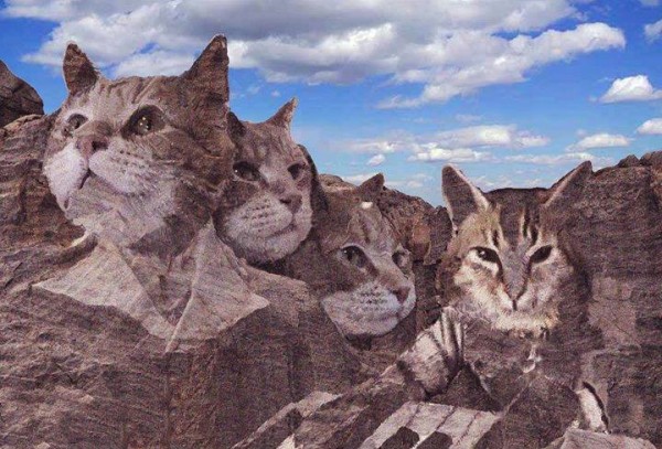 Monte Rushmore en un mundo de gatos