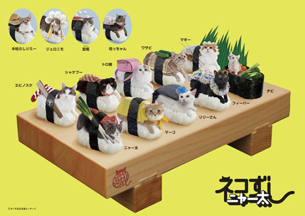 Sushi gatos