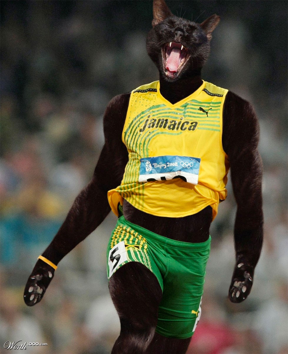 Usain Bolt versión gatuna