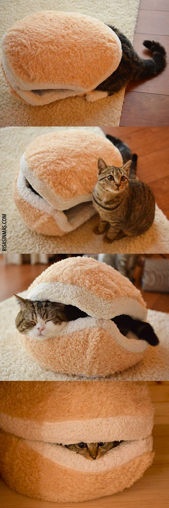 Cama hamburguesa para gatos