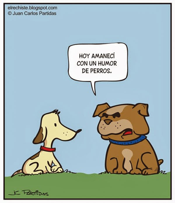 Humor de perros