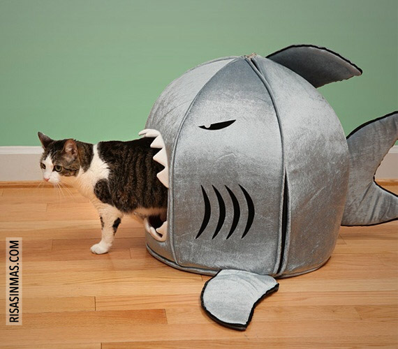 Cama para gatos tiburón