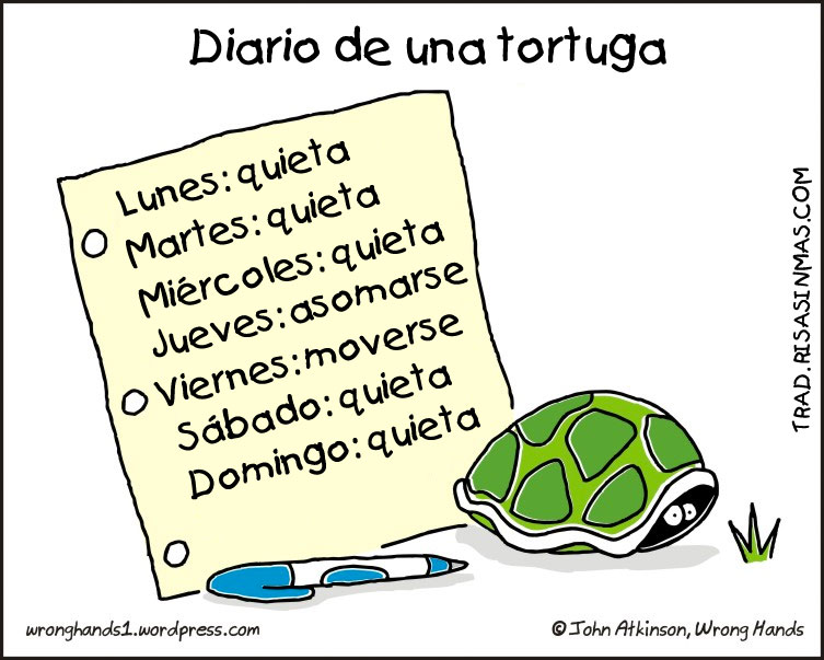 Diario de una tortuga