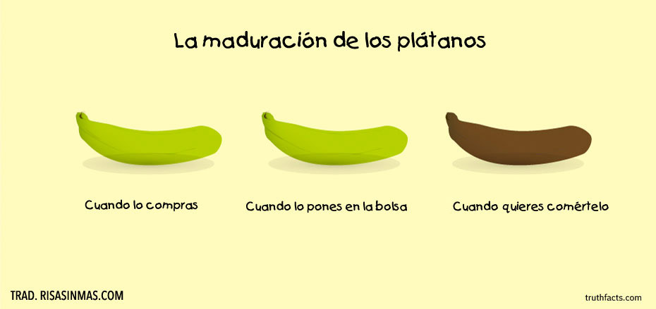 La maduración de los plátanos