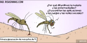 Primera generación de mosquitos de TI