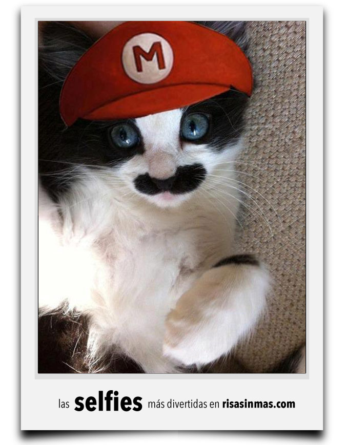 Selfie de mi gato Super Mario