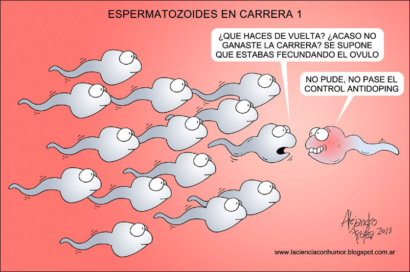 Espermatozoides en carrera 1