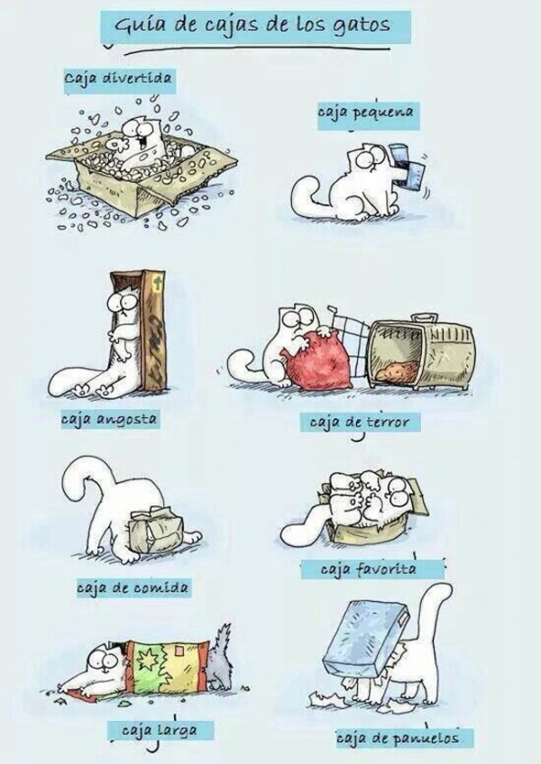 Guía de cajas de los gatos