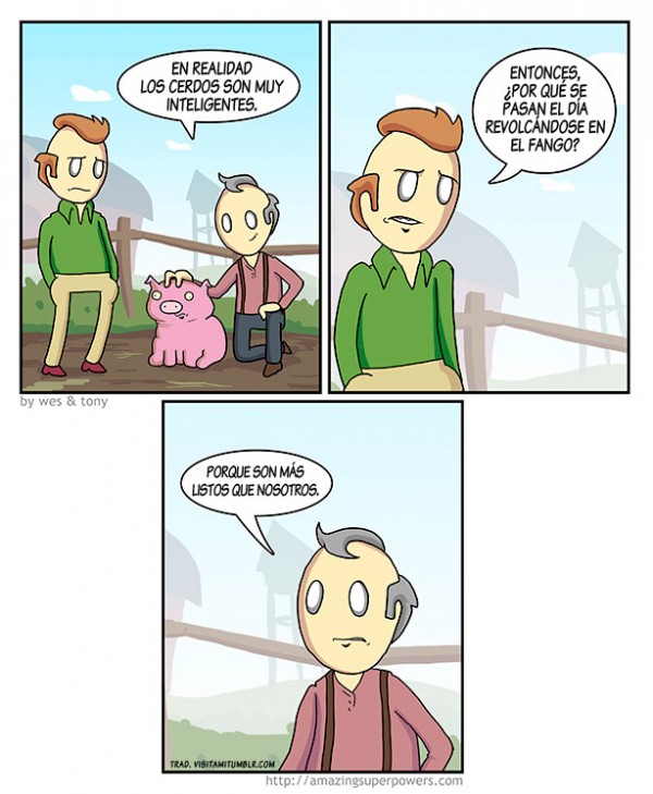Los cerdos son muy inteligentes