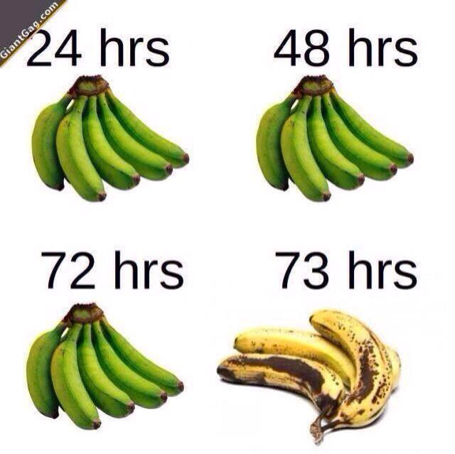 Así son los plátanos