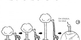 Evolución de las jirafas