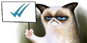A Grumpy cat le gusta el doble check azul