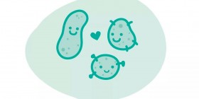 Millones de bacterias viven en tu cuerpo