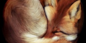 El verdadero Firefox