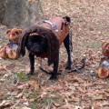 The Walking Pug: Michonne