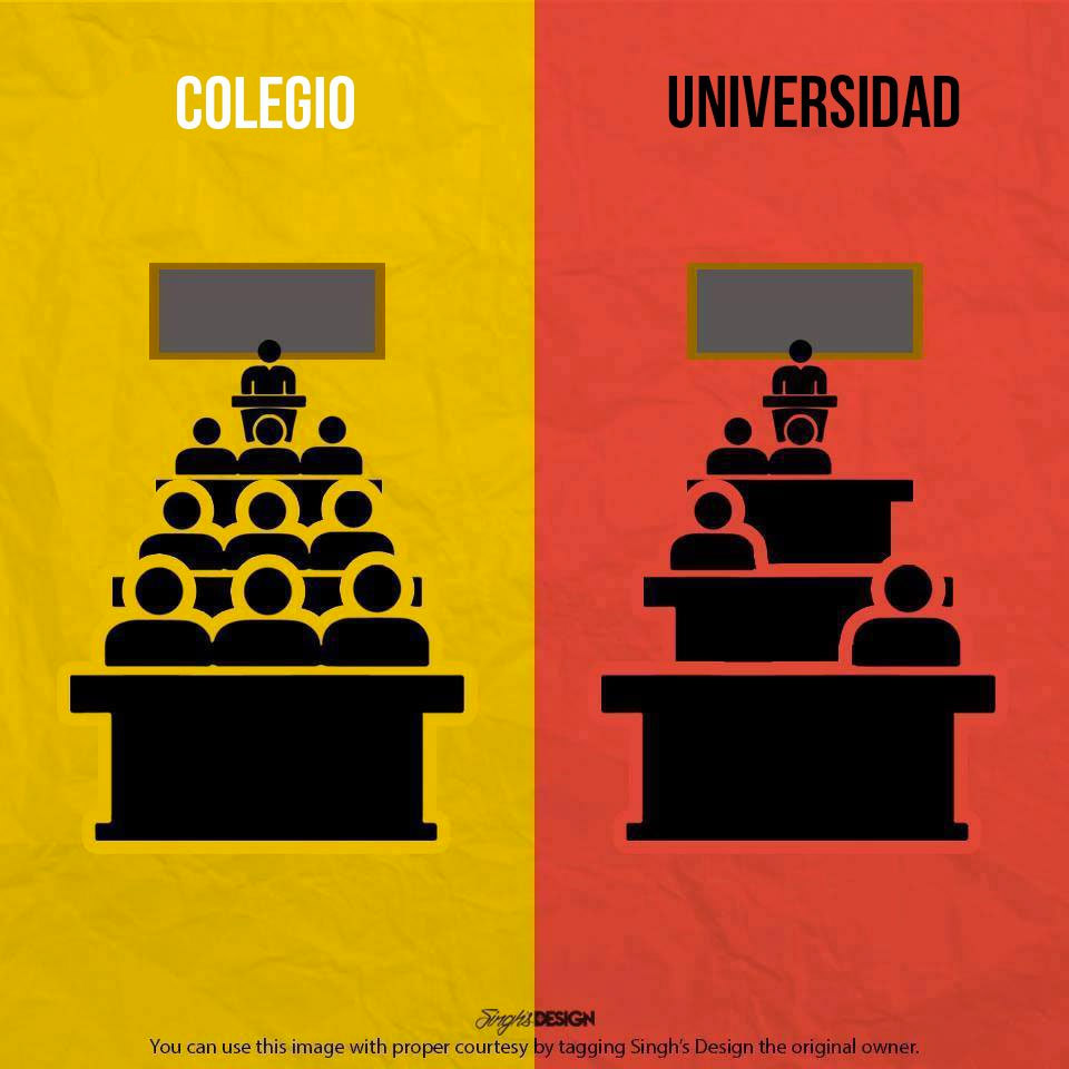 Colegio y Universidad: alumnos