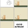 Gato rebelde