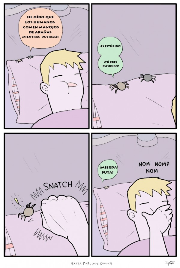 Los humanos comen arañas