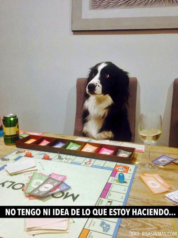 Perrete jugando al monopoly