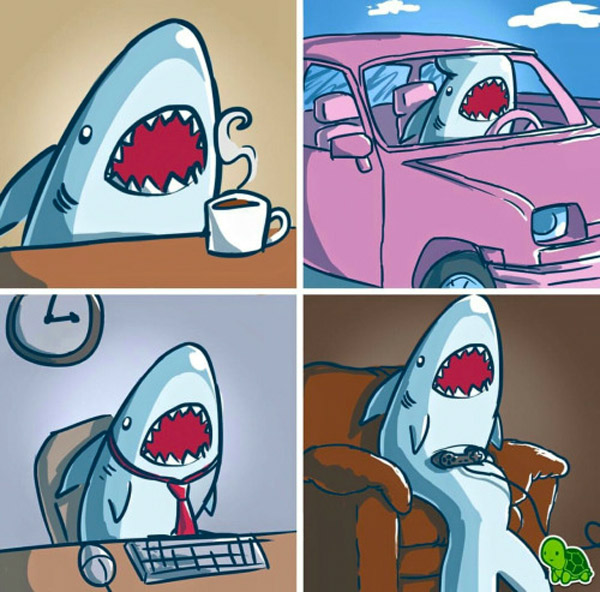La vida de un tiburón
