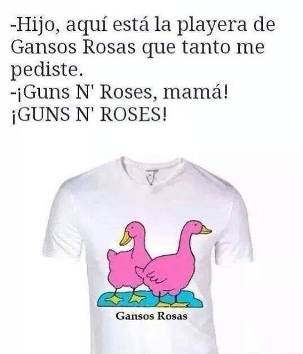 La playera de Gansos Rosas